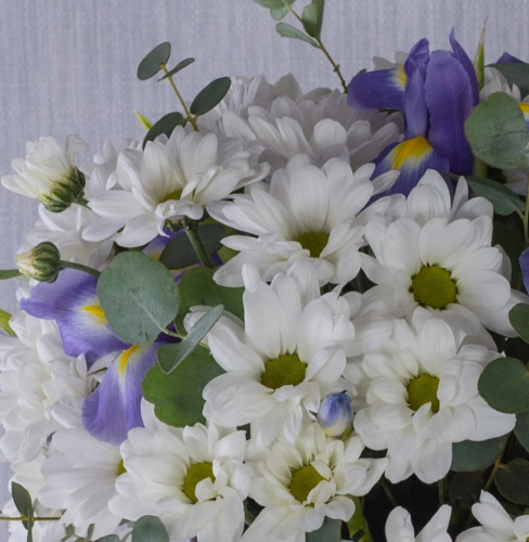 Коробка с кустовой хризантемой и ирисами "Девчата" арт. 36288