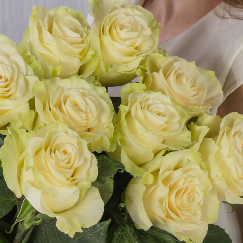 Букет из 9 крупных Белых крупных роз Эквадор 60 см арт. 36401