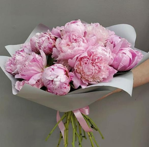 Нежность. 15 пионов арт. 6252