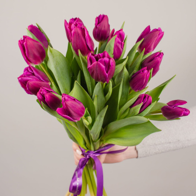 Букет из 15 малиновых тюльпанов 28774